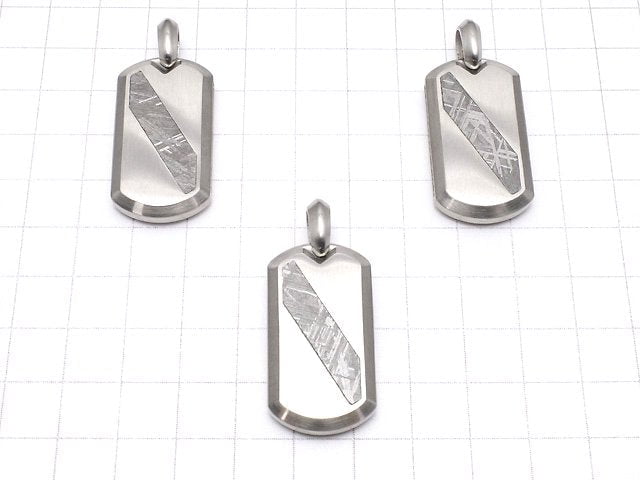 Meteoriten (Muonionalusta) Hundemarke Anhänger 35x19mm 1 Stück