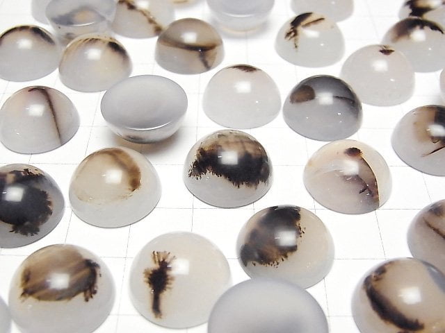 Montana Moosachat AA++ Rund Cabochon 16x16mm 3 Stück
