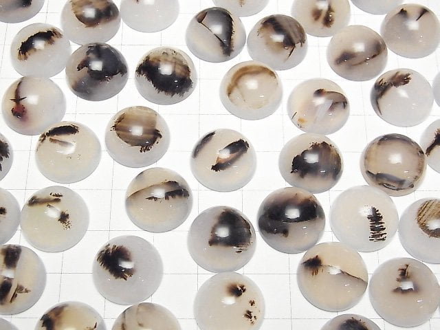 Montana Moosachat AA++ Rund Cabochon 16x16mm 3 Stück