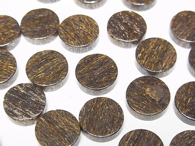 古銅輝石未鑽孔扁平圓片10x10毫米5顆