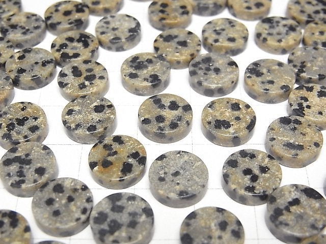 Dalmatiner-Jaspis Ungebohrt Flache Münze 10x10mm 5 Stück