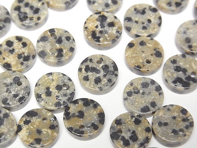 斑點碧玉扁圓珠 10x10公釐 5顆