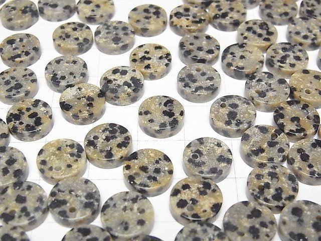 Dalmatiner-Jaspis Flache Münze 10x10mm 5 Stück