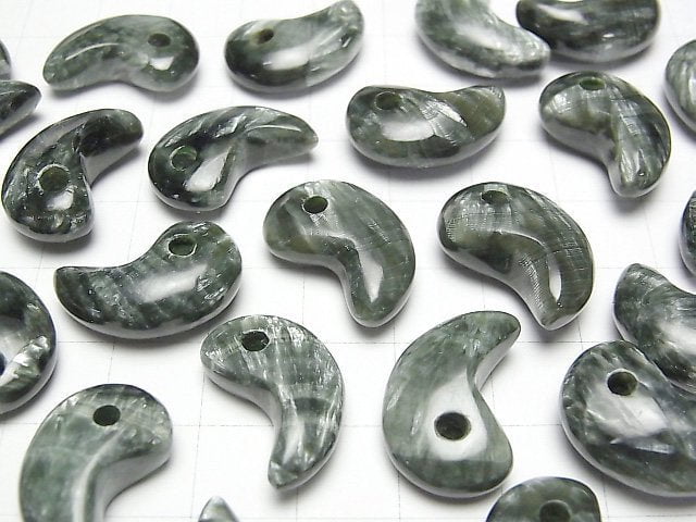 Seraphinit AAA Komma-förmige Perle 20x13mm 1 Stück