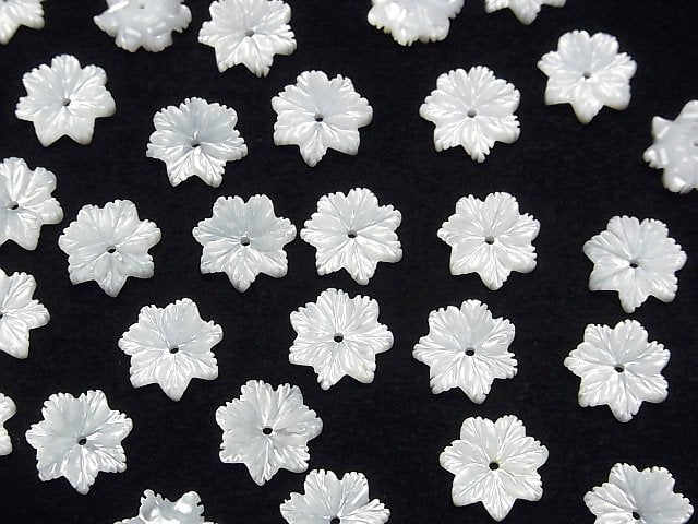 Hochwertige weiße Muschel (Silberlippen-Auster) AAA Blume 10mm mit Mittelbohrung 3 Stück
