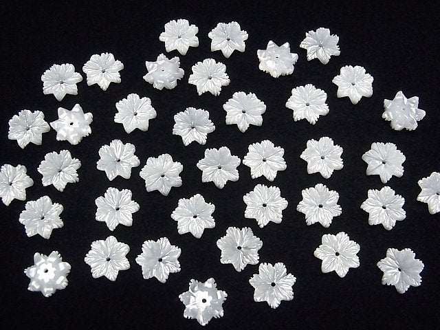 Hochwertige weiße Muschel (Silberlippen-Auster) AAA Blume 10mm mit Mittelbohrung 3 Stück