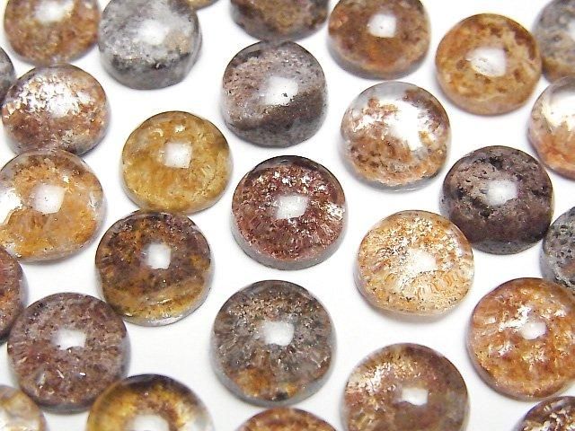 紅色庭園石英 AAA 圓形凸圓形寶石 10x10mm 2顆