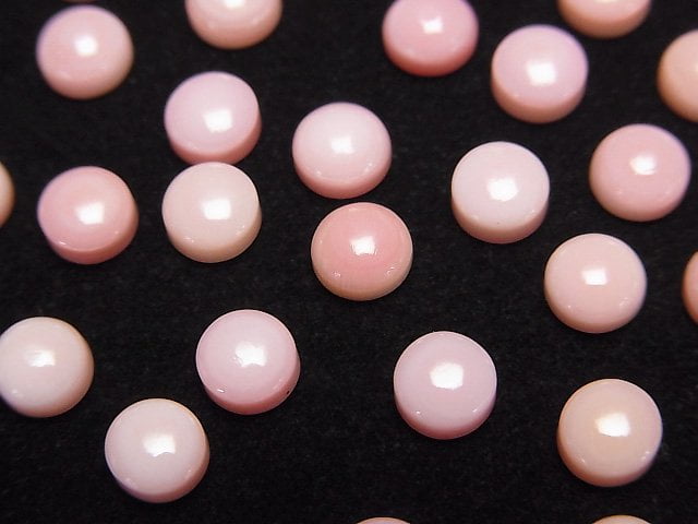 高品質女王鳳螺殼 AAA 圓形凸圓形戒面 5x5mm 3顆