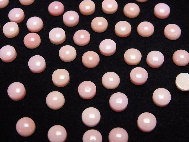 Hochwertige Königin-Conch-Muschel AAA Rund Cabochon 5x5mm 3 Stück