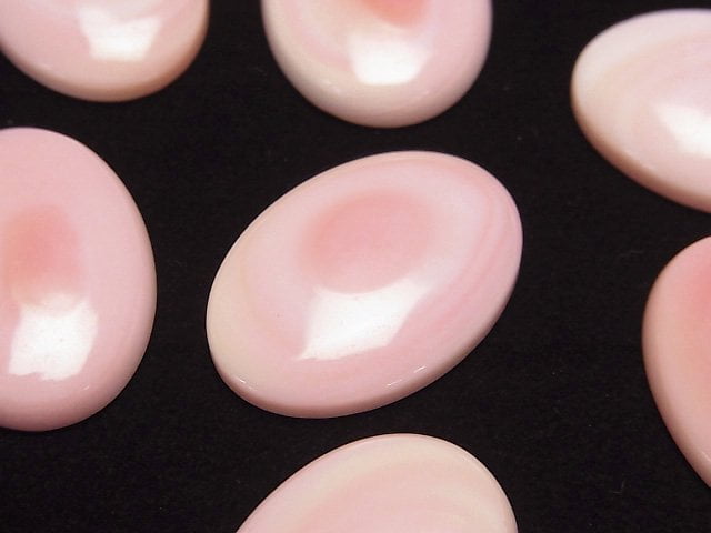 高品質鳳凰螺殼 AAA 橢圓形素面蛋面 25x18mm 1顆