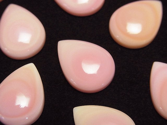 高品質鳳凰螺殼 AAA 梨形凸圓面 18x13mm 1顆