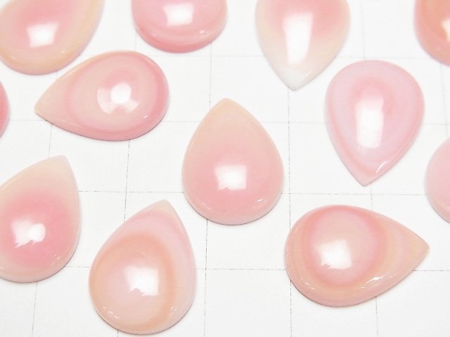 高品質鳳凰螺殼 AAA 梨形凸圓面 18x13mm 1顆