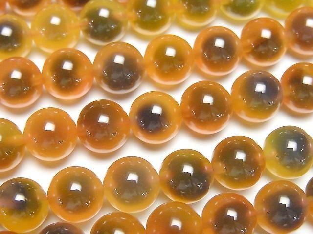 Orange color Tapioca Agate Round 8mm 1strand beads (aprx.15inch/36cm)
