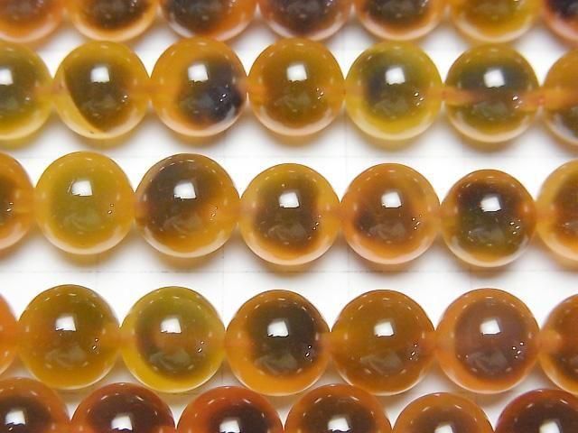 Orange color Tapioca Agate Round 8mm 1strand beads (aprx.15inch/36cm)
