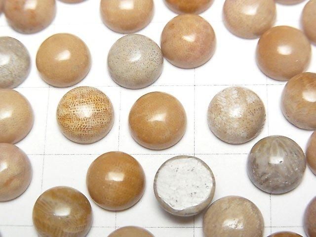 Fossil Coral Round Cabochon 8x8mm 5pcs