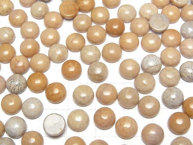 Fossiles Korallen Rund Cabochon 8x8mm 5Stücke