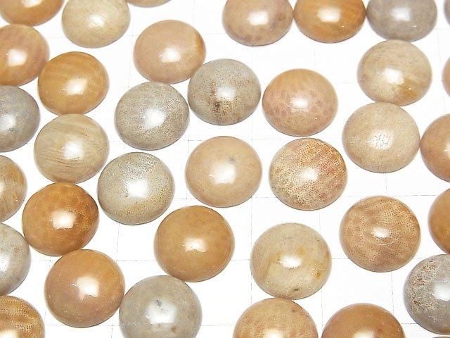 Fossiles Korallen Rund Cabochon 12x12mm 4Stücke