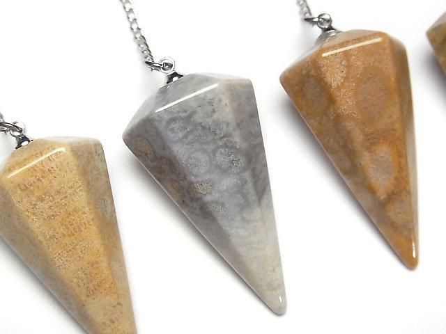 Fossil Coral Pendulum 36x20x20mm with chain 1pc