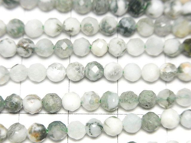 High Quality! Tree Agate Faceted Round 4mm 1strand beads (aprx.15inch/37cm)