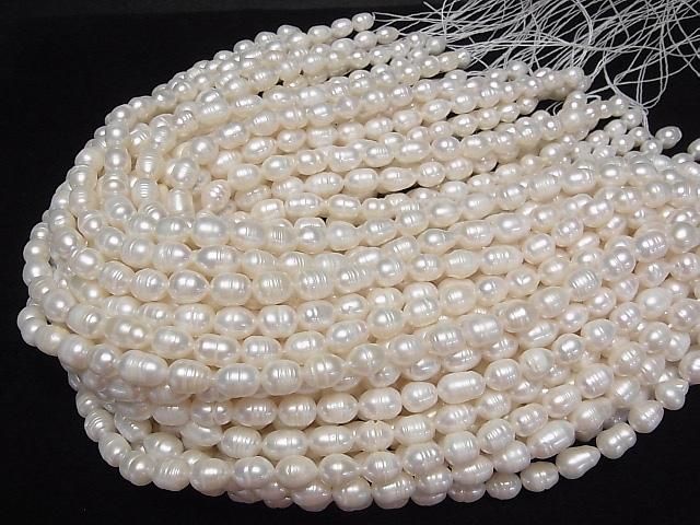 Süßwasserperle AA Faltenreis 10x8x8mm Weiß 1strang Perlen (ca. 13inch/33cm)