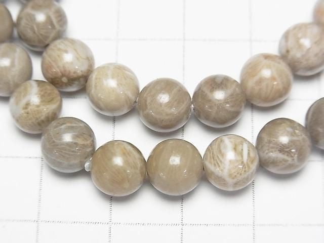 Fossilkoralle Rund 8mm Armband