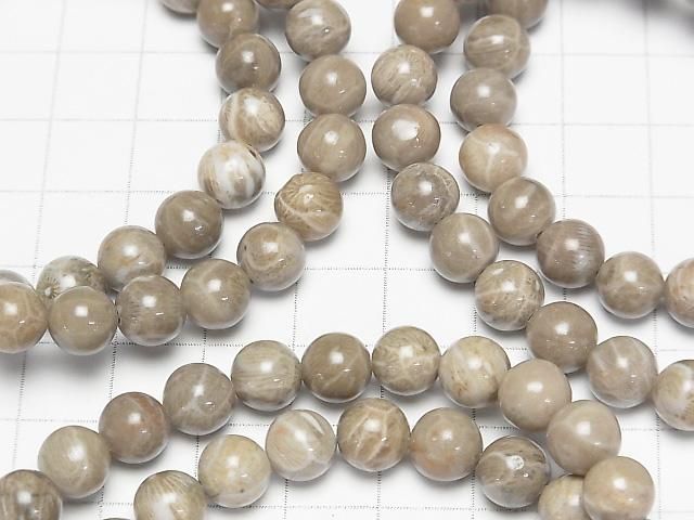 Fossilkoralle Rund 8mm Armband