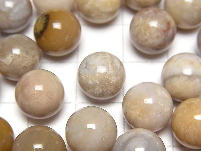 Fossilkoralle Kugel, Rund 10mm 10Stk