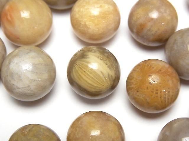 Fossilkoralle Kugel, Rund 15mm 5Stk