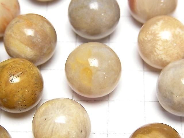 Fossilkoralle Kugel, Rund 15mm 5Stk