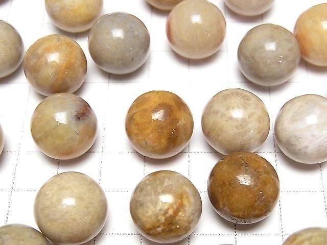 Fossilkoralle Kugel, Rund 15mm 5Stk