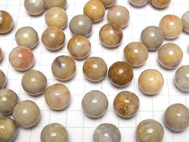 Fossilkoralle Kugel, Rund 15mm 5Stk