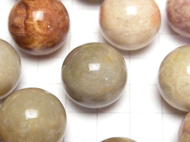 Fossilkoralle Kugel, Rund 20mm 2 Stück