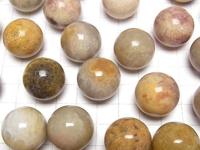 Fossilkoralle Kugel, Rund 20mm 2 Stück
