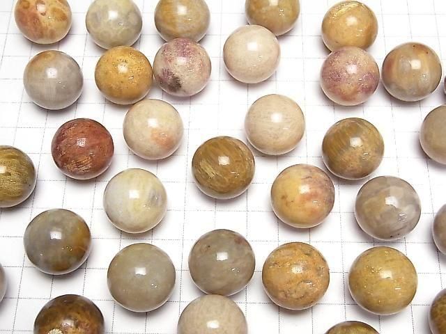 Fossilkoralle Kugel, Rund 20mm 2 Stück