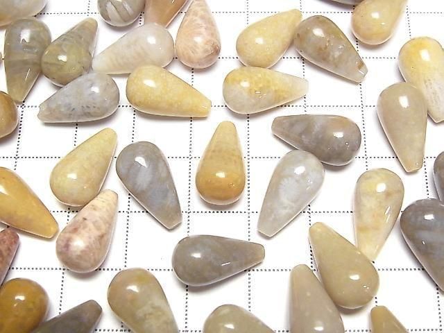 Fossilkoralle halb durchbohrter Tropfen (glatt) 16x8mm 3 Stück