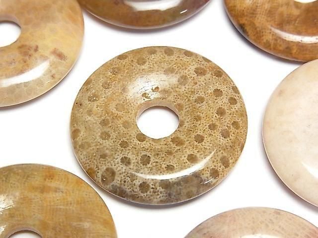 Fossilkoralle Münze (Donut) 30x30mm 2Stück