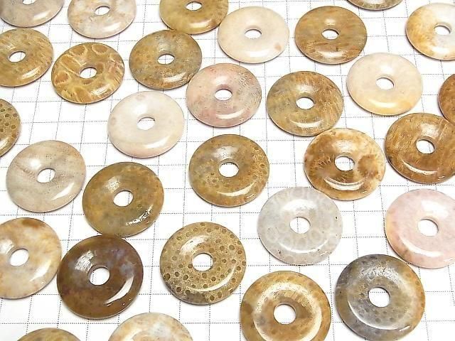 Fossilkoralle Münze (Donut) 30x30mm 2Stück