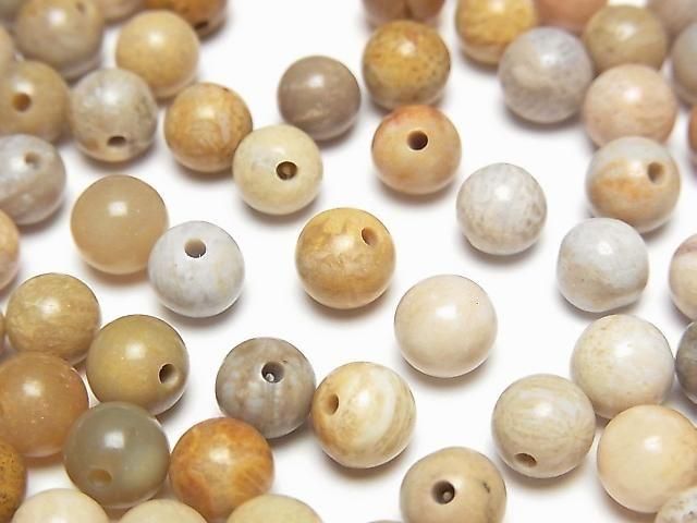 Fossilkoralle halb Durchbohrt Rund 6.5mm 10 Stück