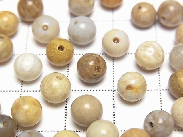 Fossilkoralle halb Durchbohrt Rund 6.5mm 10 Stück