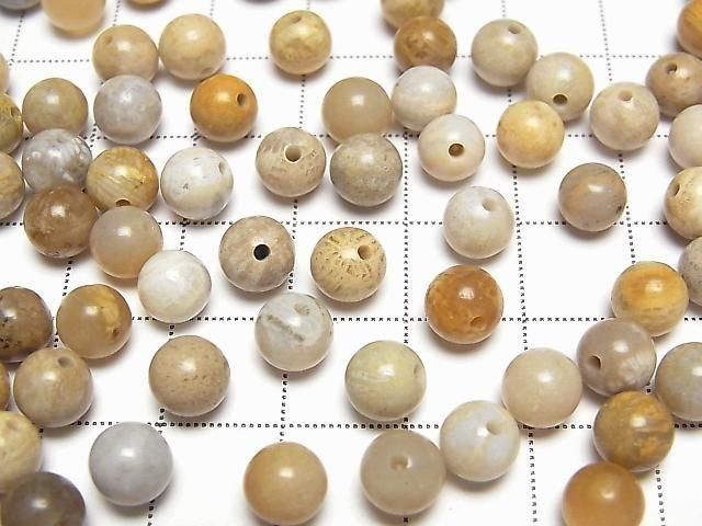 Fossilkoralle halb Durchbohrt Rund 6.5mm 10 Stück