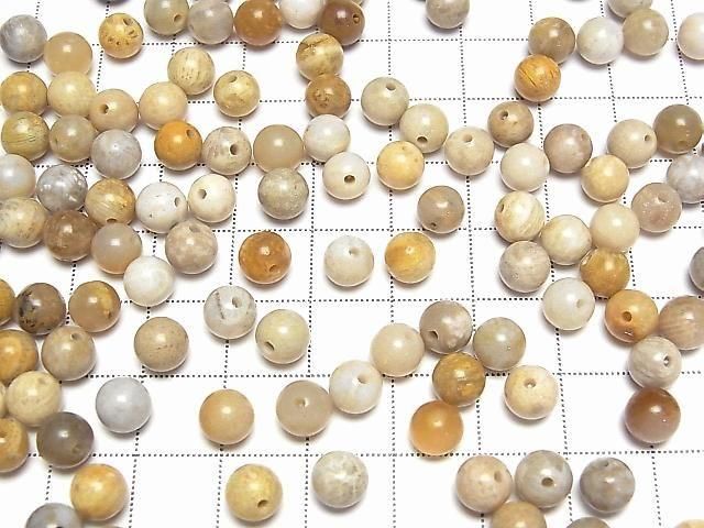 Fossilkoralle halb Durchbohrt Rund 6.5mm 10 Stück