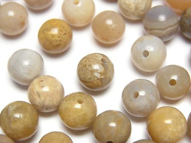 Fossilkoralle halb Durchbohrt Rund 8.5mm 6 Stück