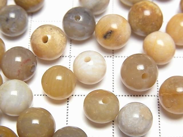 Fossilkoralle halb Durchbohrt Rund 8.5mm 6 Stück