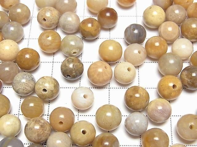 Fossilkoralle halb Durchbohrt Rund 8.5mm 6 Stück