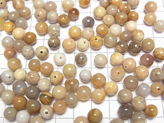 Fossilkoralle halb Durchbohrt Rund 8.5mm 6 Stück