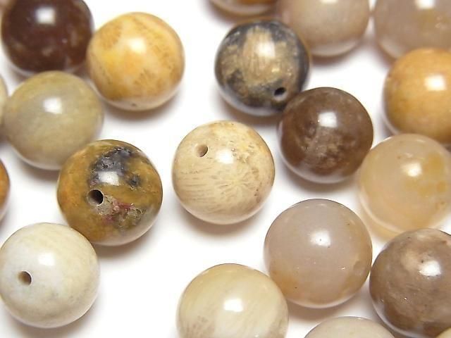 Fossilkoralle halb Durchbohrt Rund 10mm 4 Stück