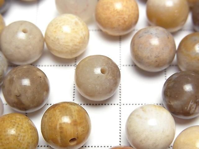 Fossilkoralle halb Durchbohrt Rund 10mm 4 Stück