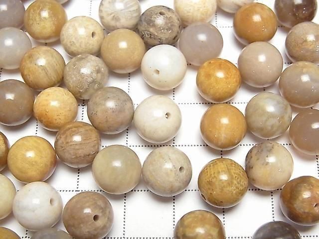Fossilkoralle halb Durchbohrt Rund 10mm 4 Stück