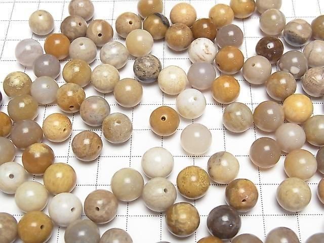 Fossilkoralle halb Durchbohrt Rund 10mm 4 Stück