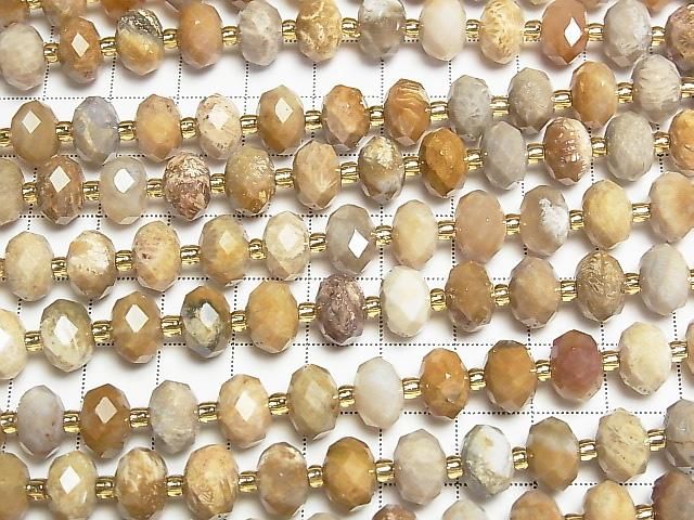 Hochwertig! Fossiles Korallen Facettiert Knopf Rondelle 10x10x6.5mm halb oder 1Strang Perlen (ca. 15 Zoll/37 cm)
